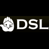Бригада Денис DSL