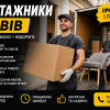 Бригада Роман