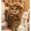 Майстер Назар